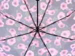 Зонт  женский Zicco, арт.2240-3_product